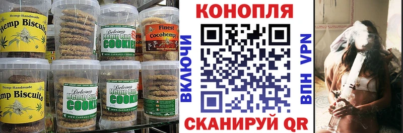 ссылка на мегу ONION  где можно купить наркотик  Орехово-Зуево  Canna-Cookies конопля 