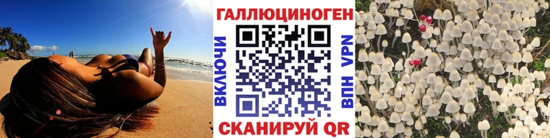 Галлюциногенные грибы GOLDEN TEACHER  цены наркотик  Орехово-Зуево 